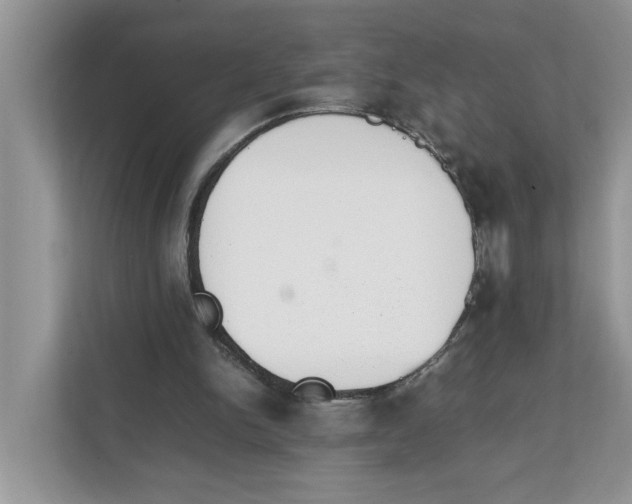 X0000111850150200908131446