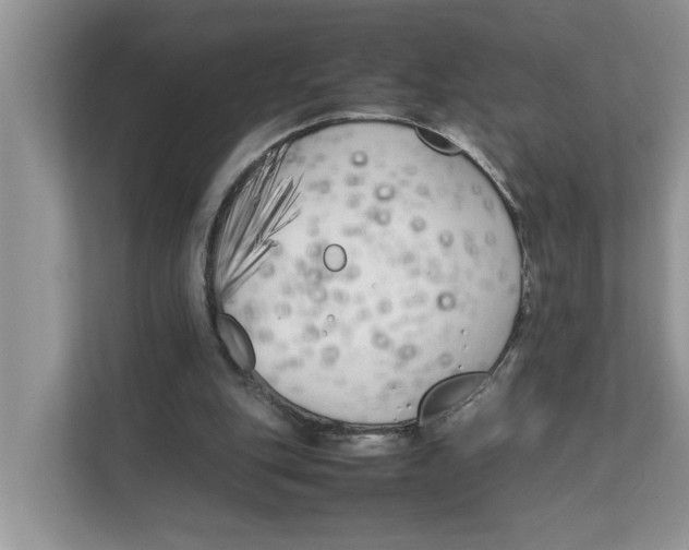 X0000111850151200908131446