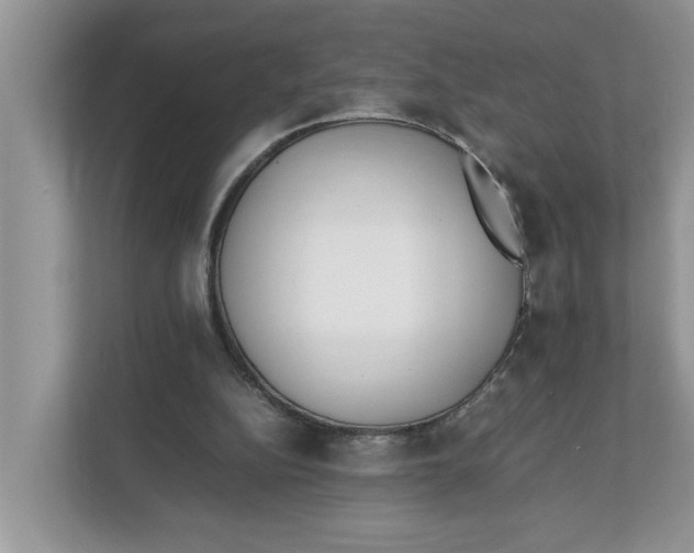 X0000111850152200908131446