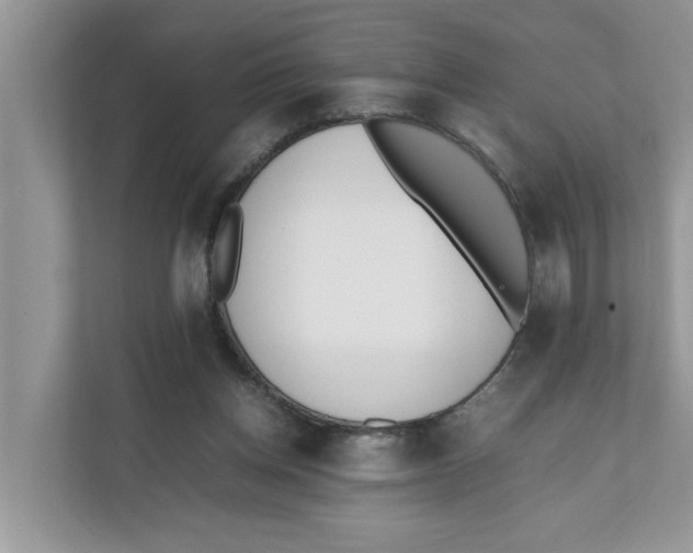 X0000111850158200908131446