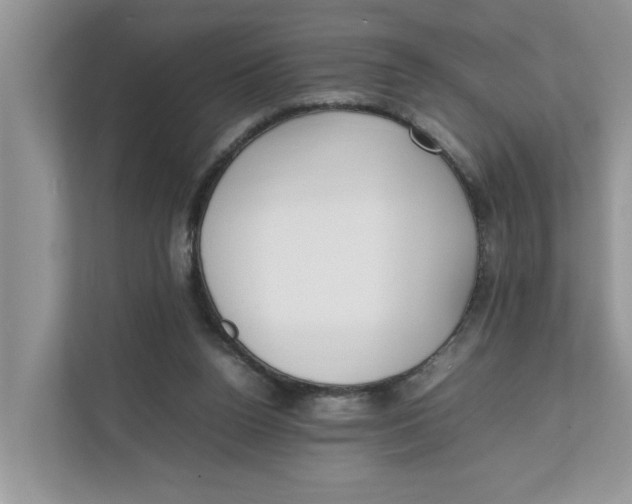 X0000111850160200908131446