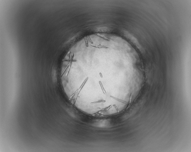 X0000111850161200908131446