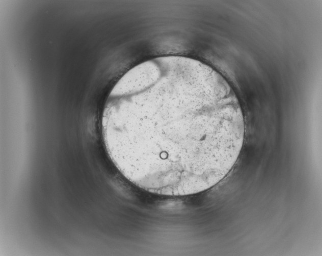 X0000111850162200908131446