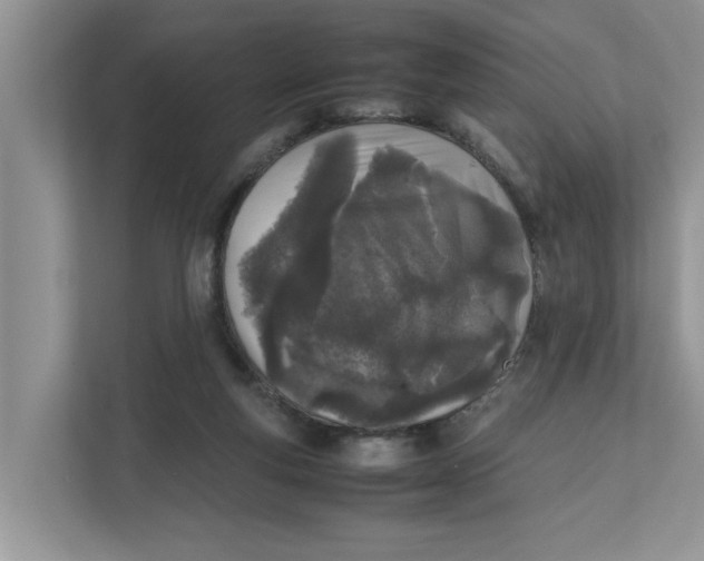 X0000111850163200908131446