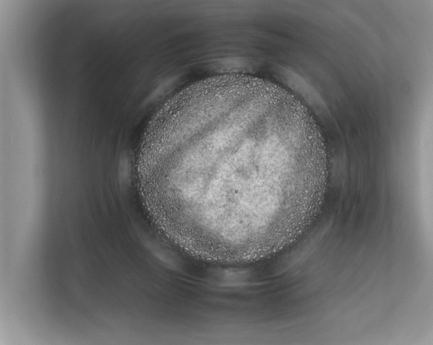 X0000111850165200908131446