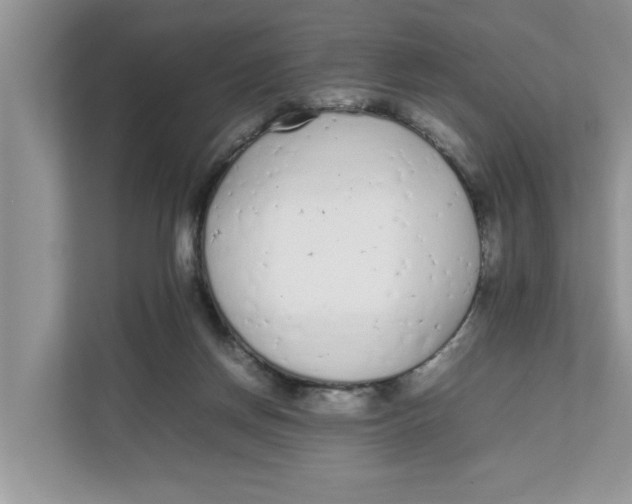 X0000111850166200908131446