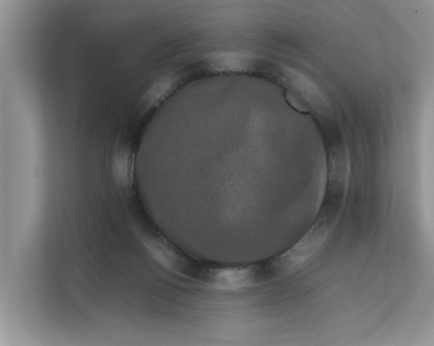 X0000111850168200908131446