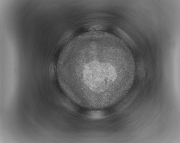 X0000111850169200908131446