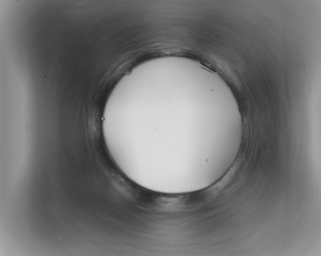 X0000111850170200908131446