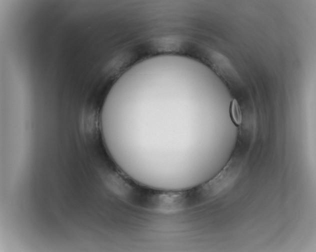 X0000111850172200908131446