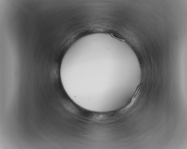 X0000111850174200908131446