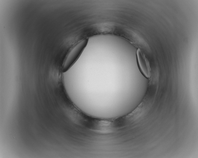 X0000111850176200908131446