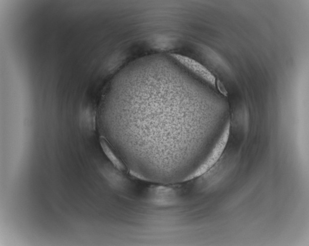 X0000111850180200908131446