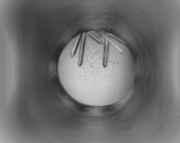 X0000111850182200908131446