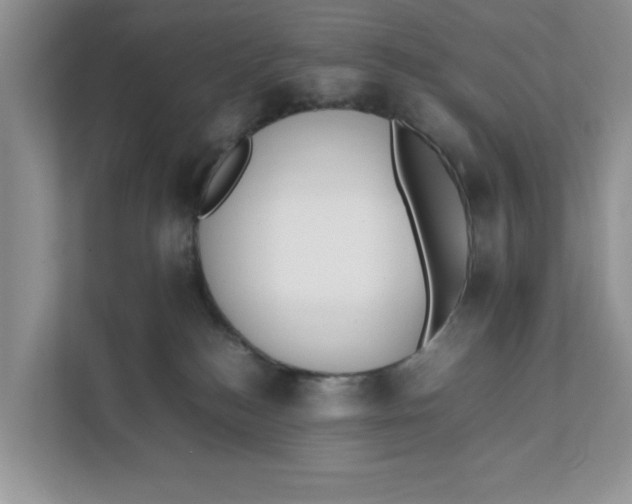 X0000111850184200908131446