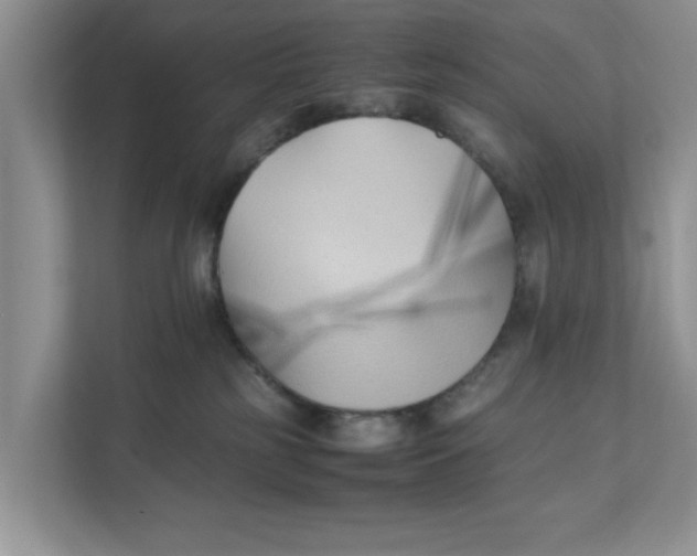 X0000111850185200908131446