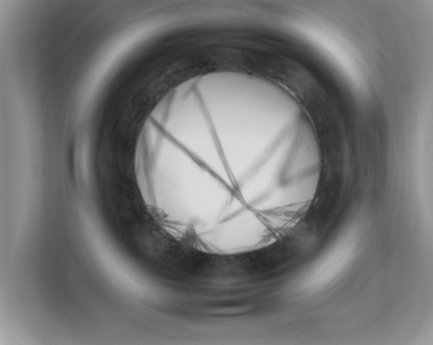 X0000111850189200908131446