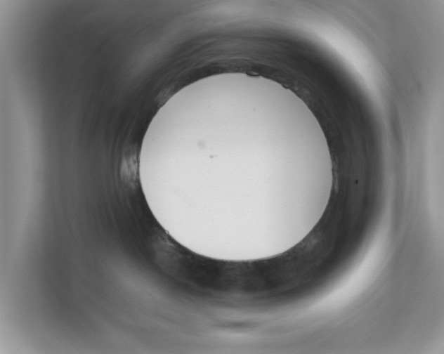 X0000111850190200908131446