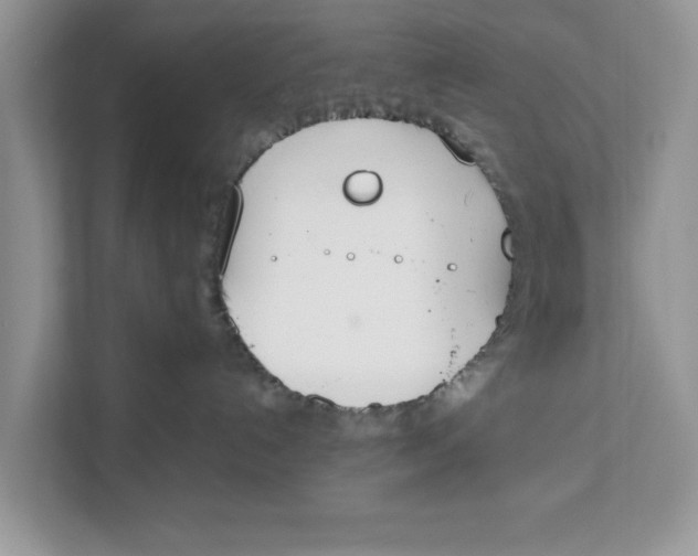 X0000111850192200908131446