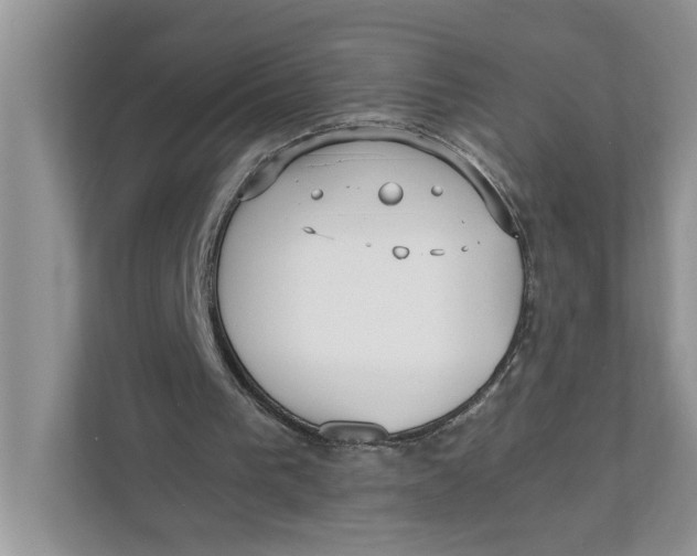 X0000111850193200908131446