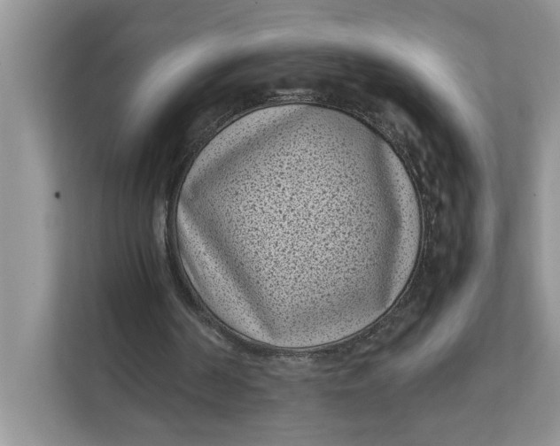 X0000111850194200908131446