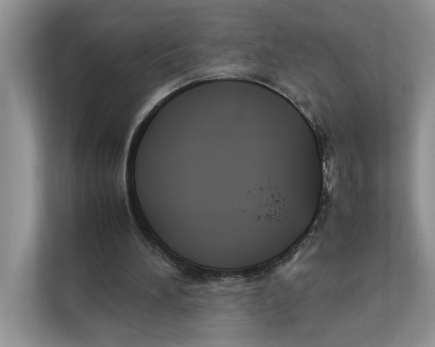 X0000111850196200908131446