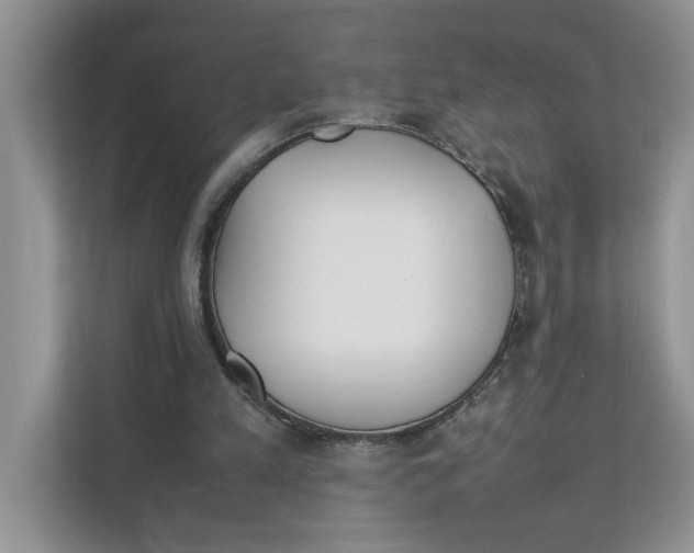 X0000111850197200908131446