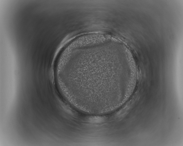 X0000111850198200908131446