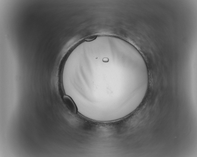 X0000111850199200908131446