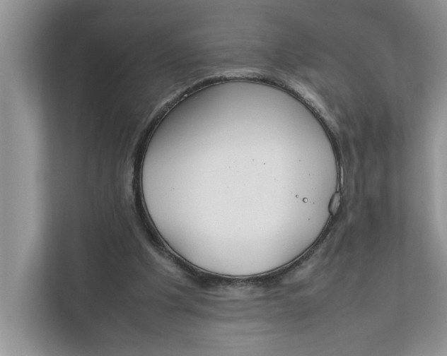 X0000111850201200908131445