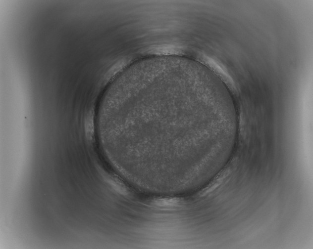 X0000111850202200908131445