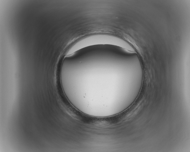 X0000111850203200908131445