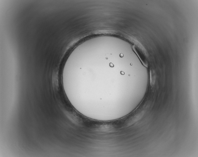 X0000111850204200908131445