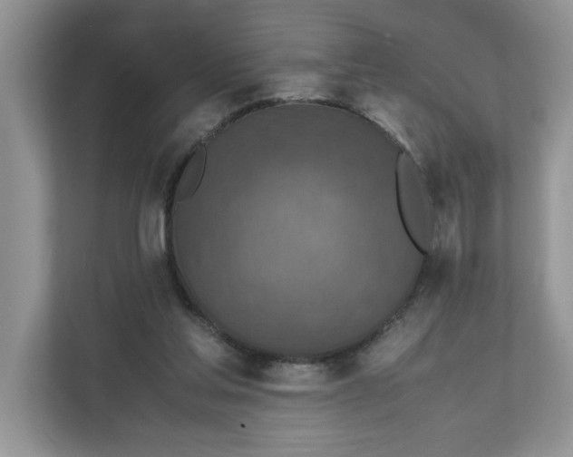 X0000111850205200908131445