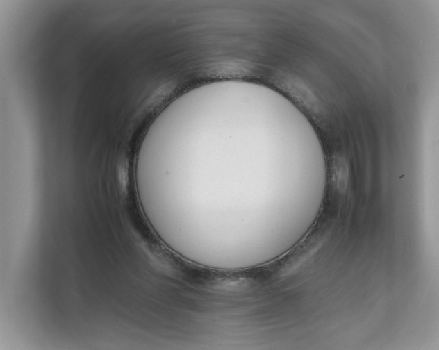 X0000111850206200908131445