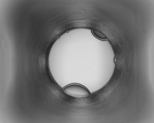 X0000111850207200908131445