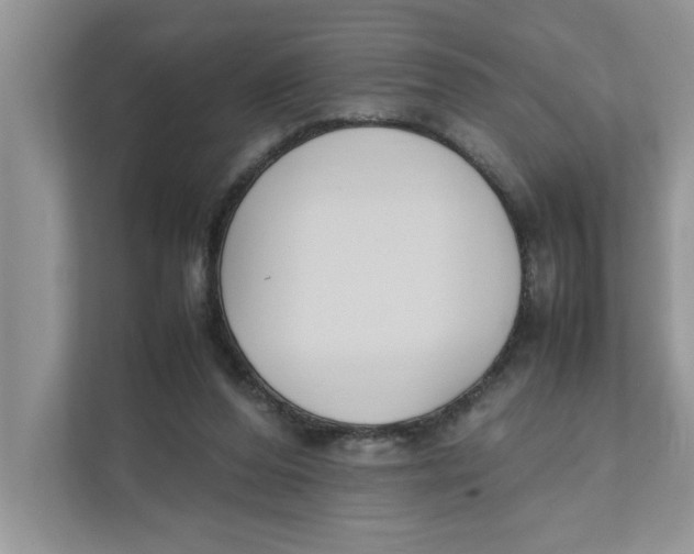 X0000111850208200908131445