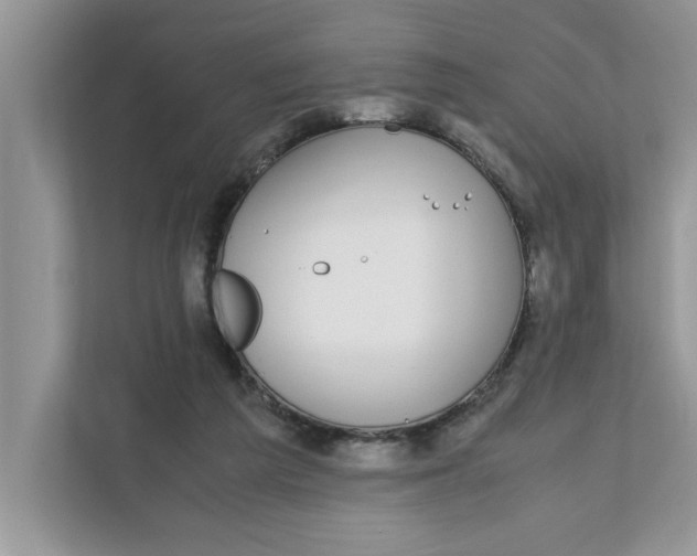 X0000111850209200908131445