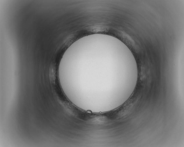 X0000111850210200908131445