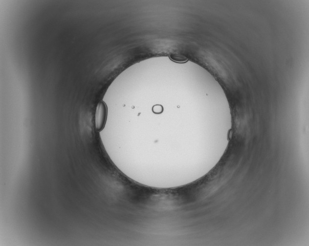 X0000111850211200908131445