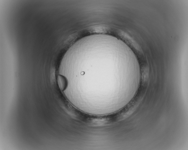 X0000111850213200908131445