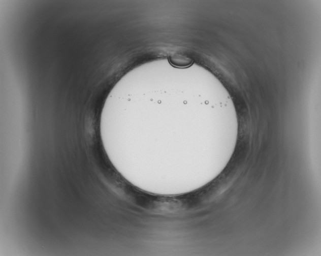 X0000111850215200908131445