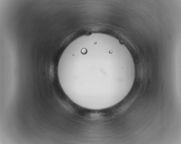 X0000111850216200908131445