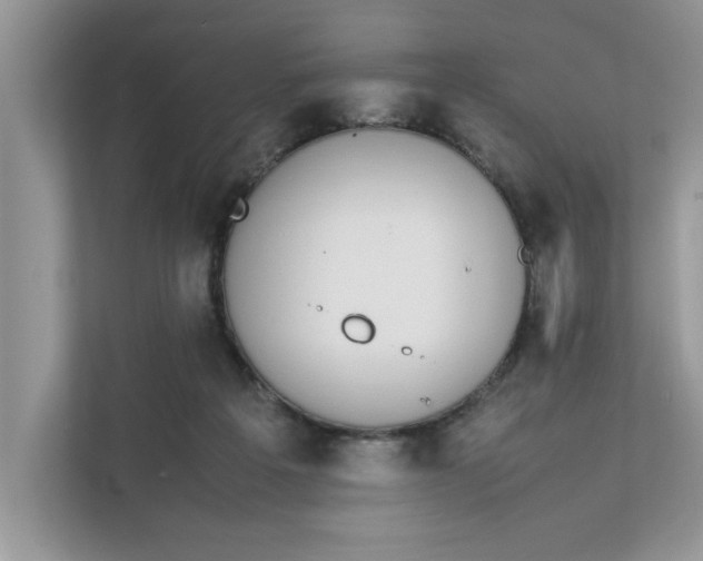 X0000111850217200908131445