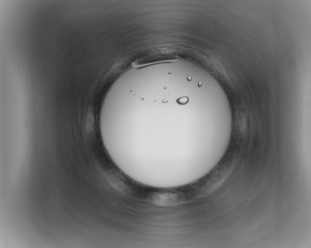 X0000111850220200908131445