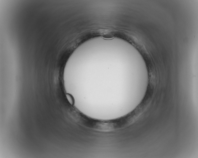 X0000111850221200908131445