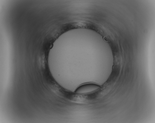 X0000111850223200908131445