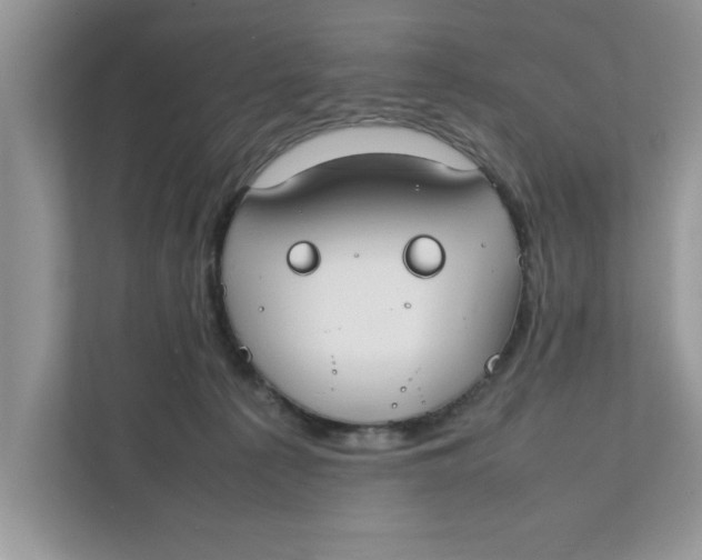 X0000111850225200908131445