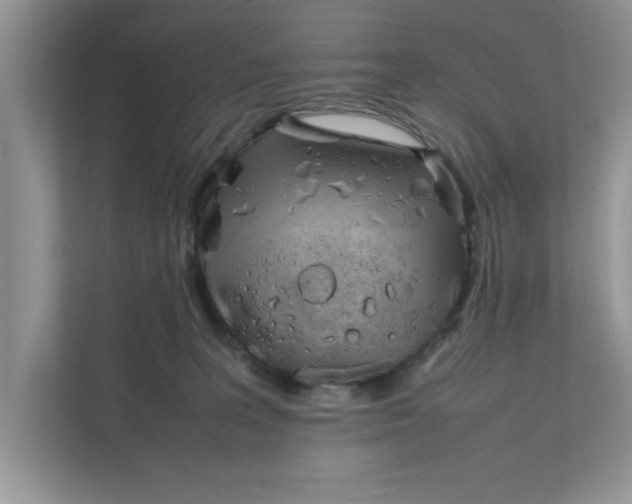 X0000111850227200908131445