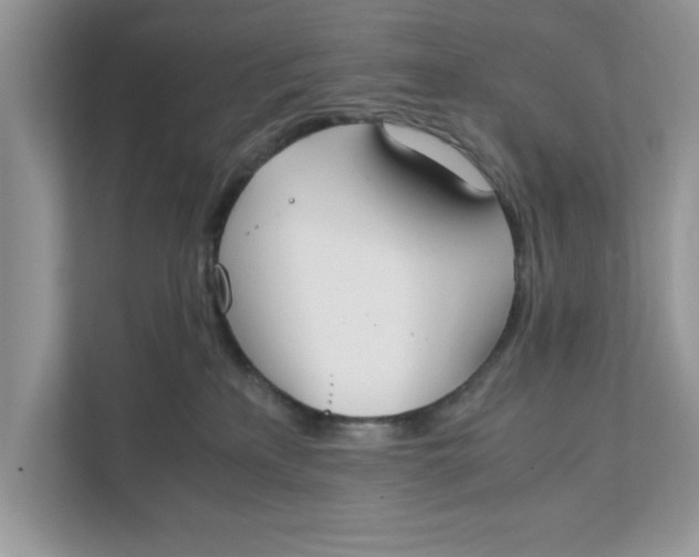 X0000111850233200908131445